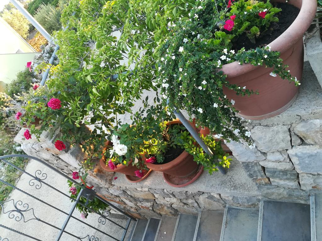 Apartment Neno - Terrace & Parking Veli Losinj Exterior photo